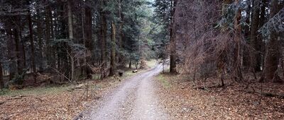 Przełęcz pod Magurką Ponikiewską ↔ (Była) Polana Beskid