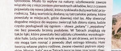 Gronik