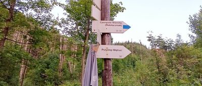 Dolina Małej Łąki