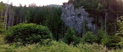 Dolina Małej Łąki