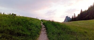 Dolina Małej Łąki ↔ Przysłop Miętusi, rozejście szlaków