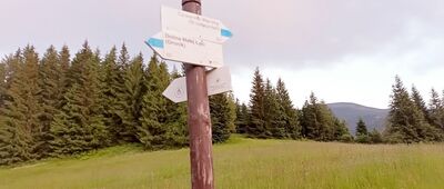 Przysłop Miętusi, rozejście szlaków