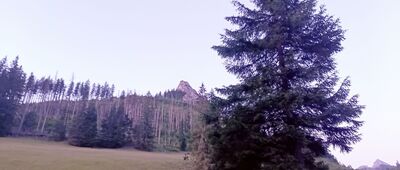 Zahradziska