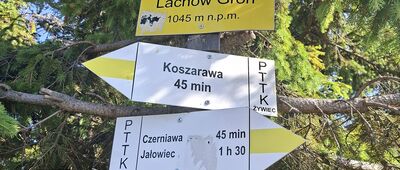 Lachów Groń