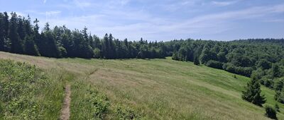 Przełęcz Klekociny ↔ Hala Kamińskiego