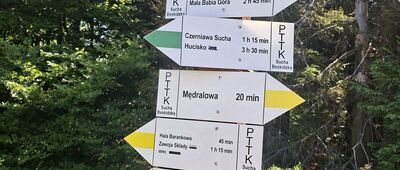 Hala Kamińskiego
