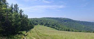Kolisty Groń