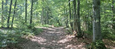 Hala Kamińskiego ↔ Pod Mędralową
