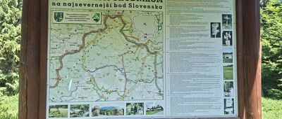 Modralová