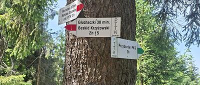 Mędralowa Zachodnia