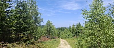 Moczarki ↔ Mędralowa Zachodnia