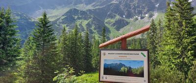 Pod Predným zeleným [Ścieżka przyrodnicza Rohackie Plesa]