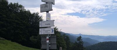 Przysłop