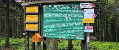 Radziejowa
