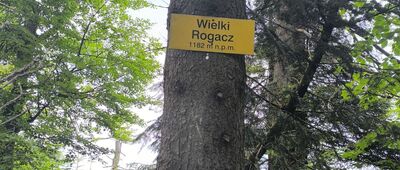Przełęcz Żłobki, rozejście szlaków ↔ Wielki Rogacz