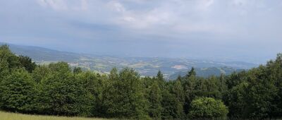 Kretówki
