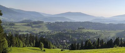 Maciejowa