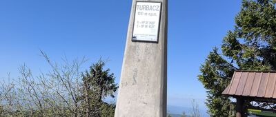 Turbacz