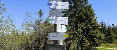 Baza namiotowa Lubań