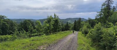 Ścieżka na Folwarczną ↔ Wojcieszów, ul. Chrobrego
