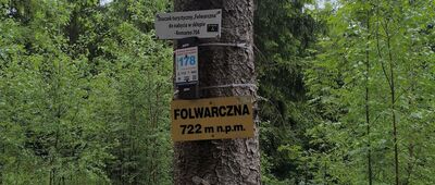 Folwarczna