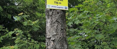 Pod Pańską Wysoczką ↔ Skrzyżowanie pod Okolem