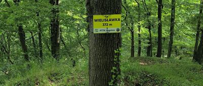 Wielisławka, grodzisko