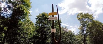 Bielsko-Biała, Pod Lasem