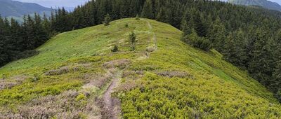 Grześ ↔ Sedlo pod Osobitou