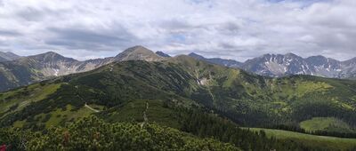 Grześ