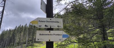 Odejście na Bobrowiecką Przełęcz ↔ Grześ