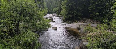 Chaty pod Przełęczą Karkonoską ↔ Bouda u Bílého Labe