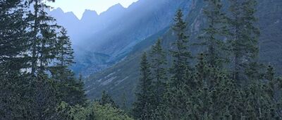 Popradská polana ↔ Odbočka Zimnej cesty na Štrbské Pleso