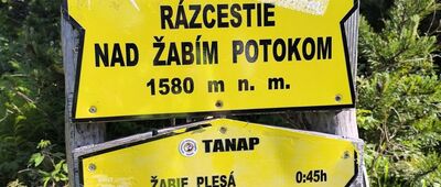 Nad Žabím potokom