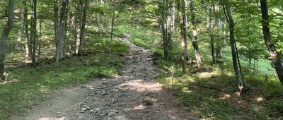 Przełęcz Beskid ↔ Lackowa