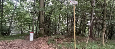 Dzielec ↔ Przełęcz Beskid