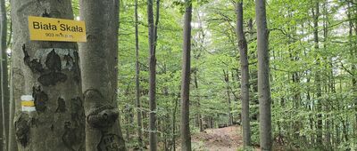 Ropki, skrzyżowanie ↔ Pod Ostrym Wierchem