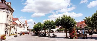 Pszczyna