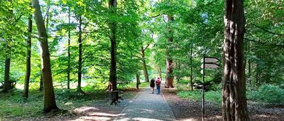 Pszczyna ↔ Pszczyna, Park Zamkowy