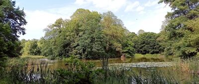 Pszczyna, Park Zamkowy
