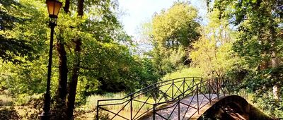 Pszczyna, Park Zamkowy