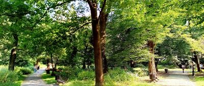 Pszczyna, Park Zamkowy