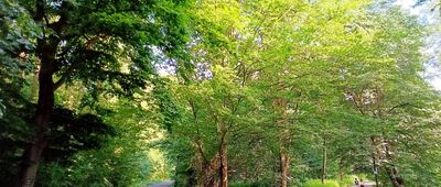 Pszczyna, Park Zamkowy ↔ Pszczyna, ul. Chopina