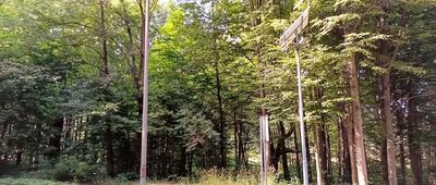 Pszczyna, ul. Chopina