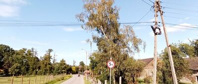 Studzienice