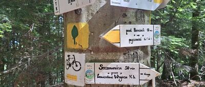 Pod Bereśnikiem