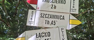 Dzwonkówka
