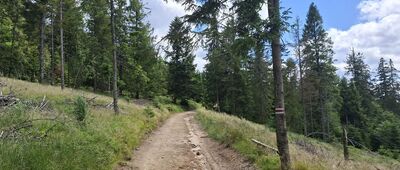 Pod Krótką ↔ Mała Przehyba