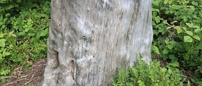 Skrzyżowanie na Przehybie ↔ Skrzyżowanie pod Przehybą
