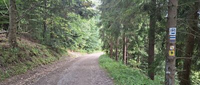 Rozejście szlaków